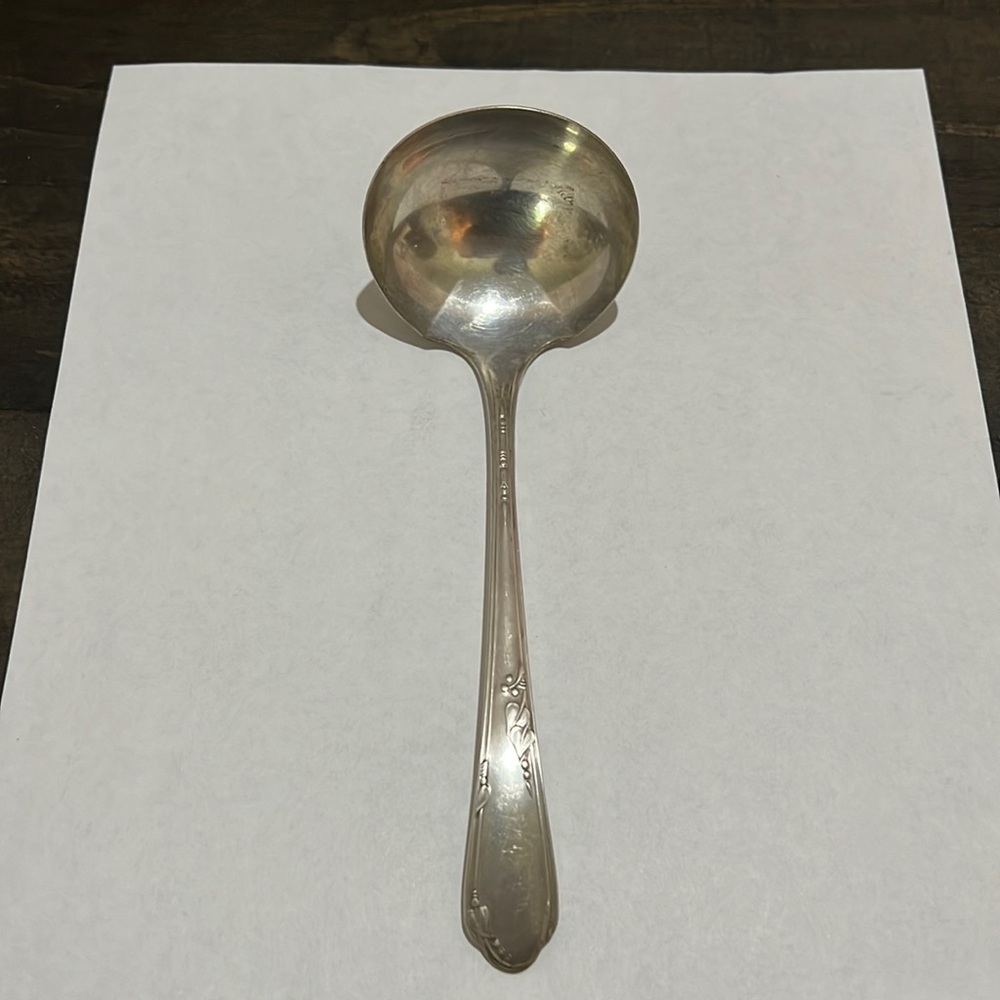 Wm. A Rogers Oneida Meadowbrook/Heather Gravy Ladle